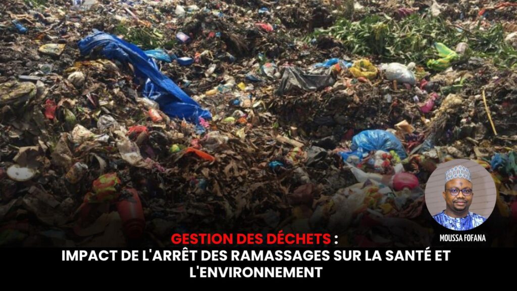 Gestion Des D chets Impact De L arr t Des Ramassages Sur La Sant Et Gestion Des D chets Impact De L arr t Des Ramassages Sur La Sant Et