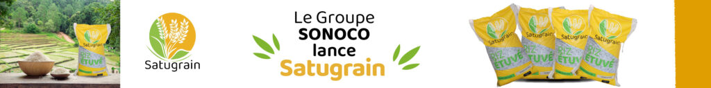 Bannière riz satugrain 2_Plan de travail 1